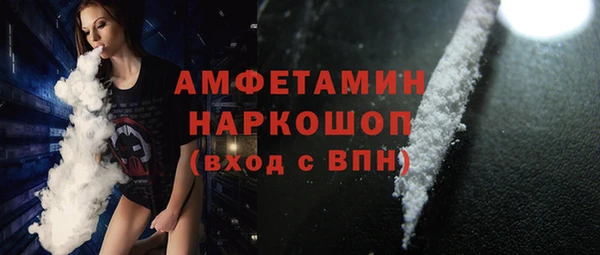 молекула духа Арсеньев