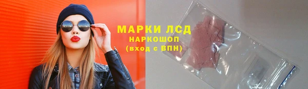 молекула духа Арсеньев