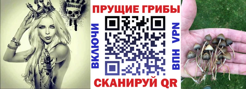 Псилоцибиновые грибы ЛСД  цены наркотик  Городовиковск 